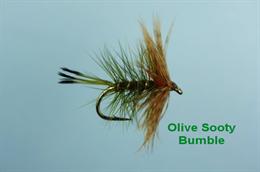 Sooty Olive Bumble